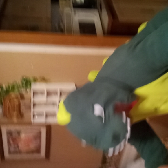 Tyrannosaurus Rex pajamas or Halloween costume - Picture 3 of 17